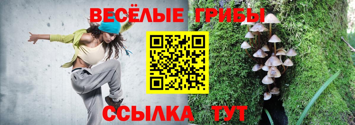 Галлюциногенные грибы GOLDEN TEACHER Волгодонск
